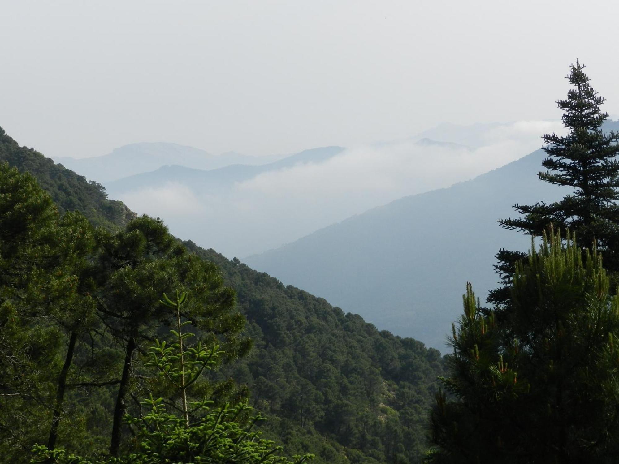 La Posada Del Recovero เคนัลกัวซิล ภายนอก รูปภาพ