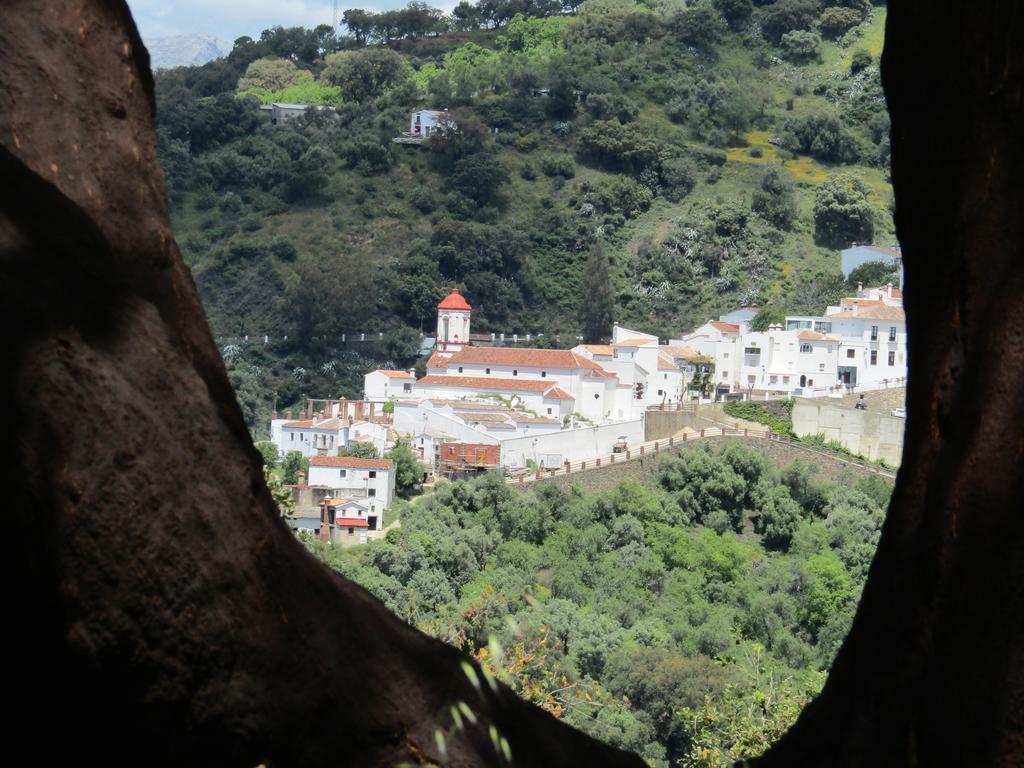 La Posada Del Recovero เคนัลกัวซิล ภายนอก รูปภาพ